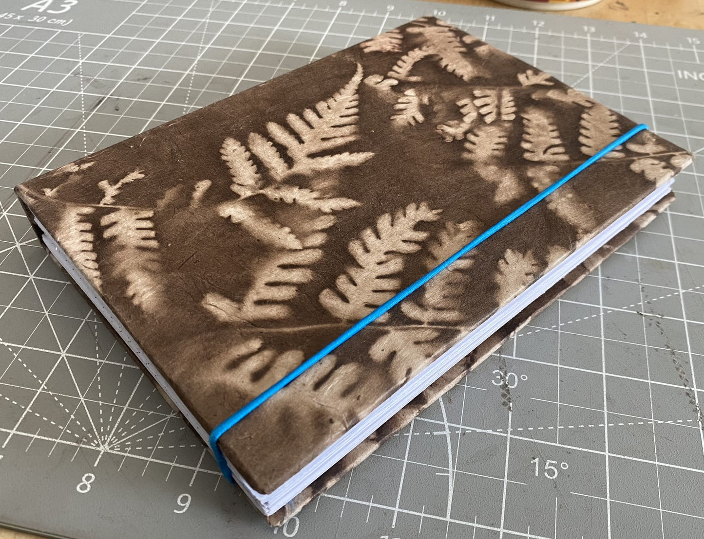 Brown Fern Journal