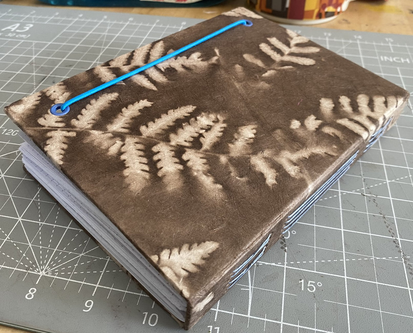 Brown Fern Journal