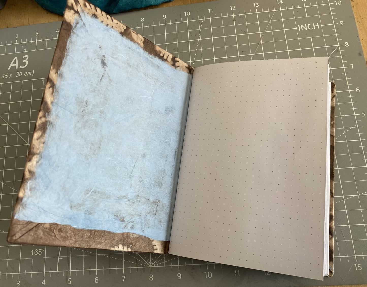 Brown Fern Journal