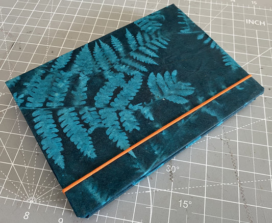 Blue Fern Journal