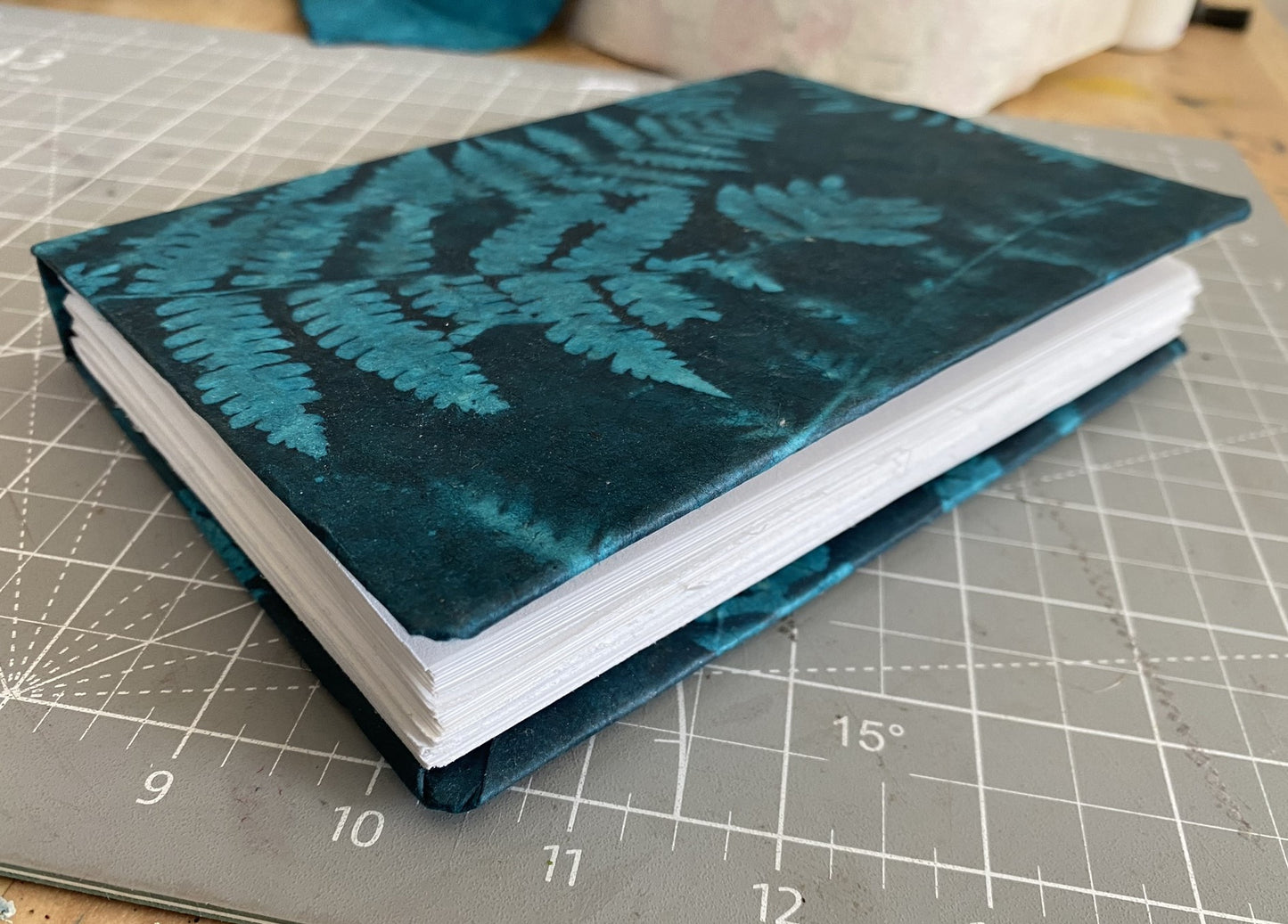 Blue Fern Journal