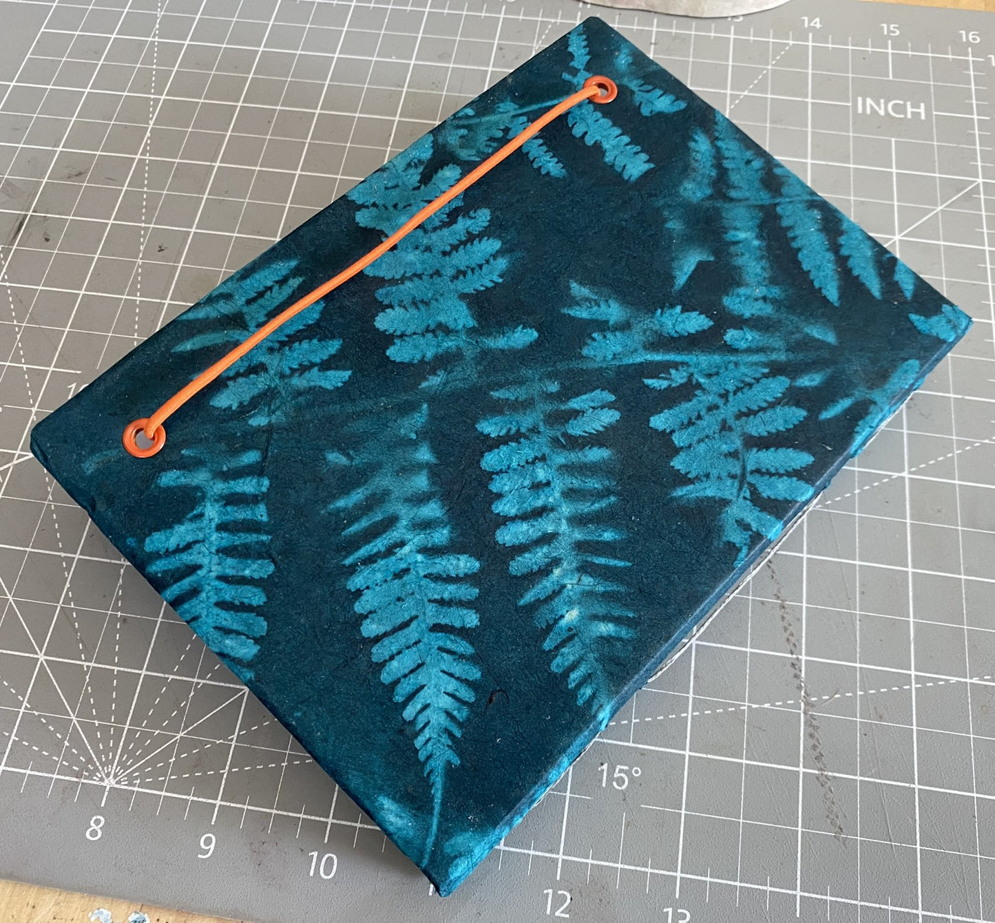 Blue Fern Journal