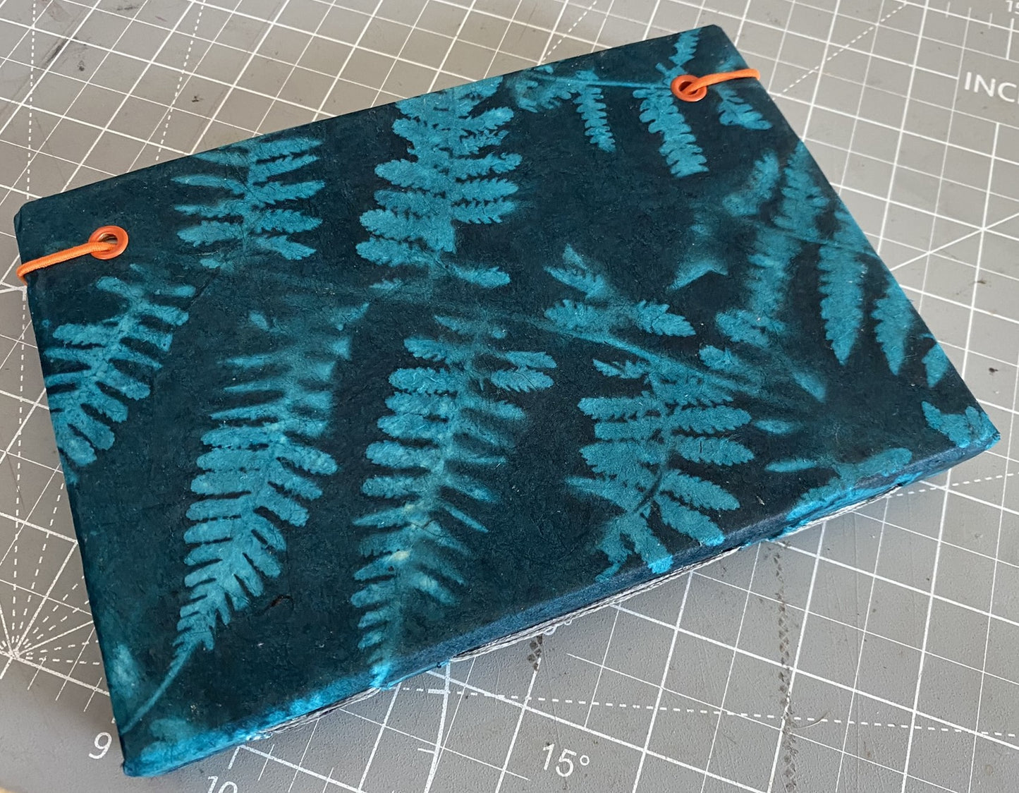 Blue Fern Journal