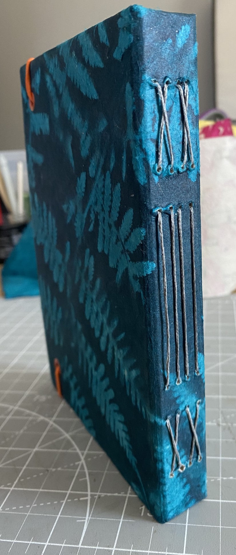 Blue Fern Journal