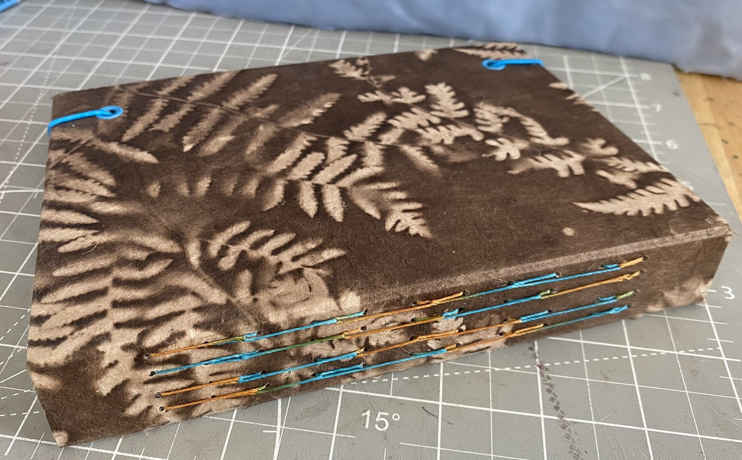 Brown Fern Journal ^2