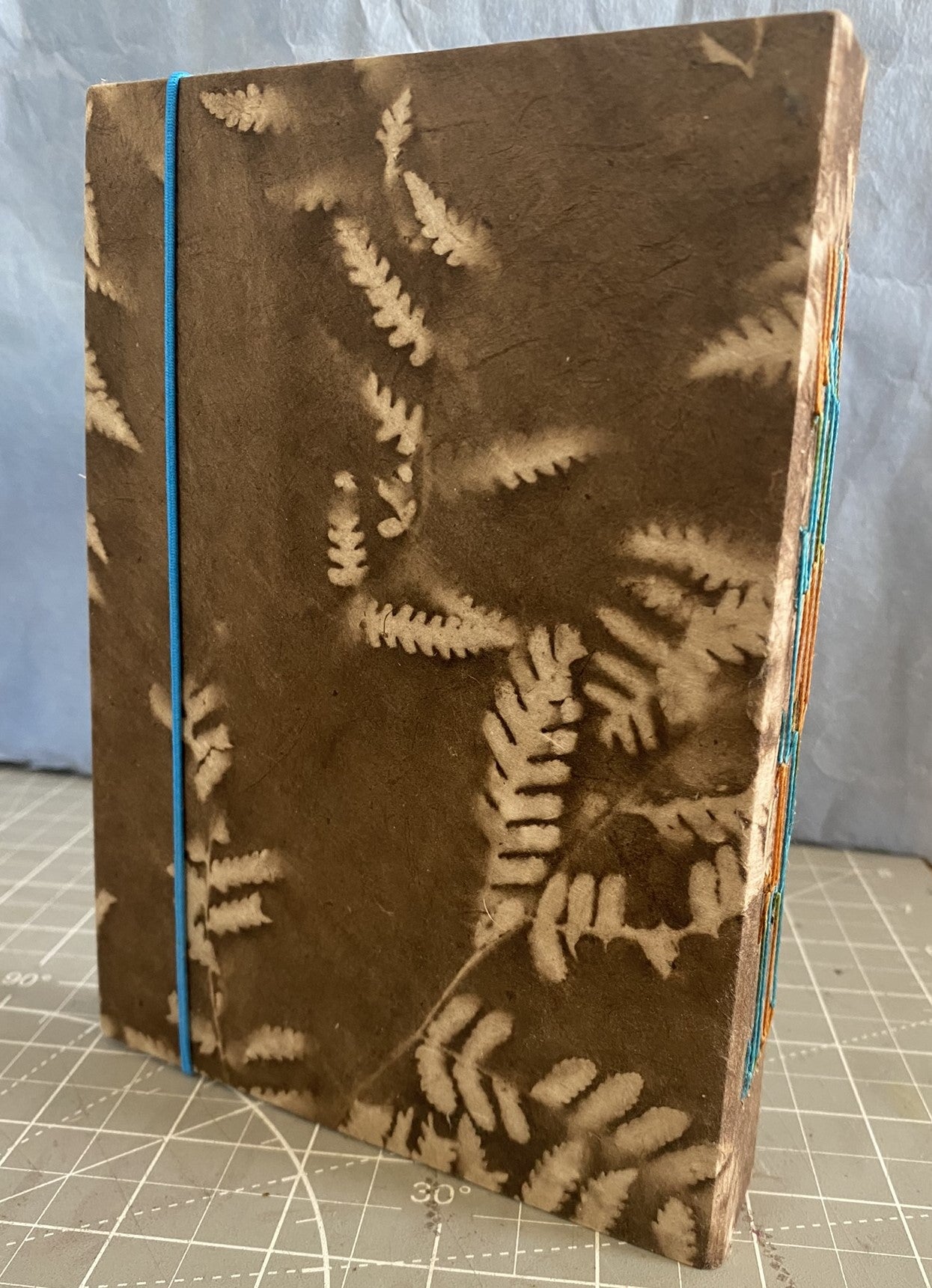 Brown Fern Journal ^2